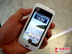 經典與現代交融 moto白色版mt810透明翻蓋雙觸摸屏圖賞